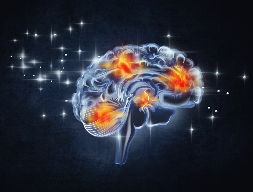 Diagram of language and motor pathways in the brain
